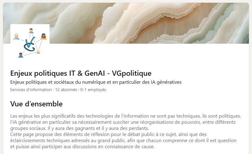 visual of the VGpolitique page